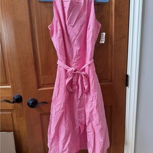 NWT Pink Gingham Sleeveless Dress